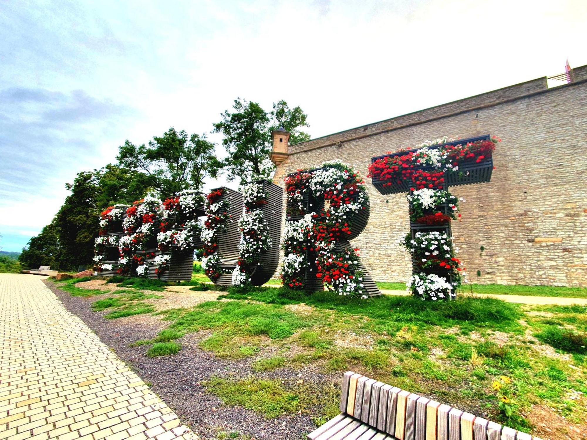 Apartment Am Suedpark Erfurt - Inkl Garten Mit Sitzlounge - Zentrumsnah 外观 照片