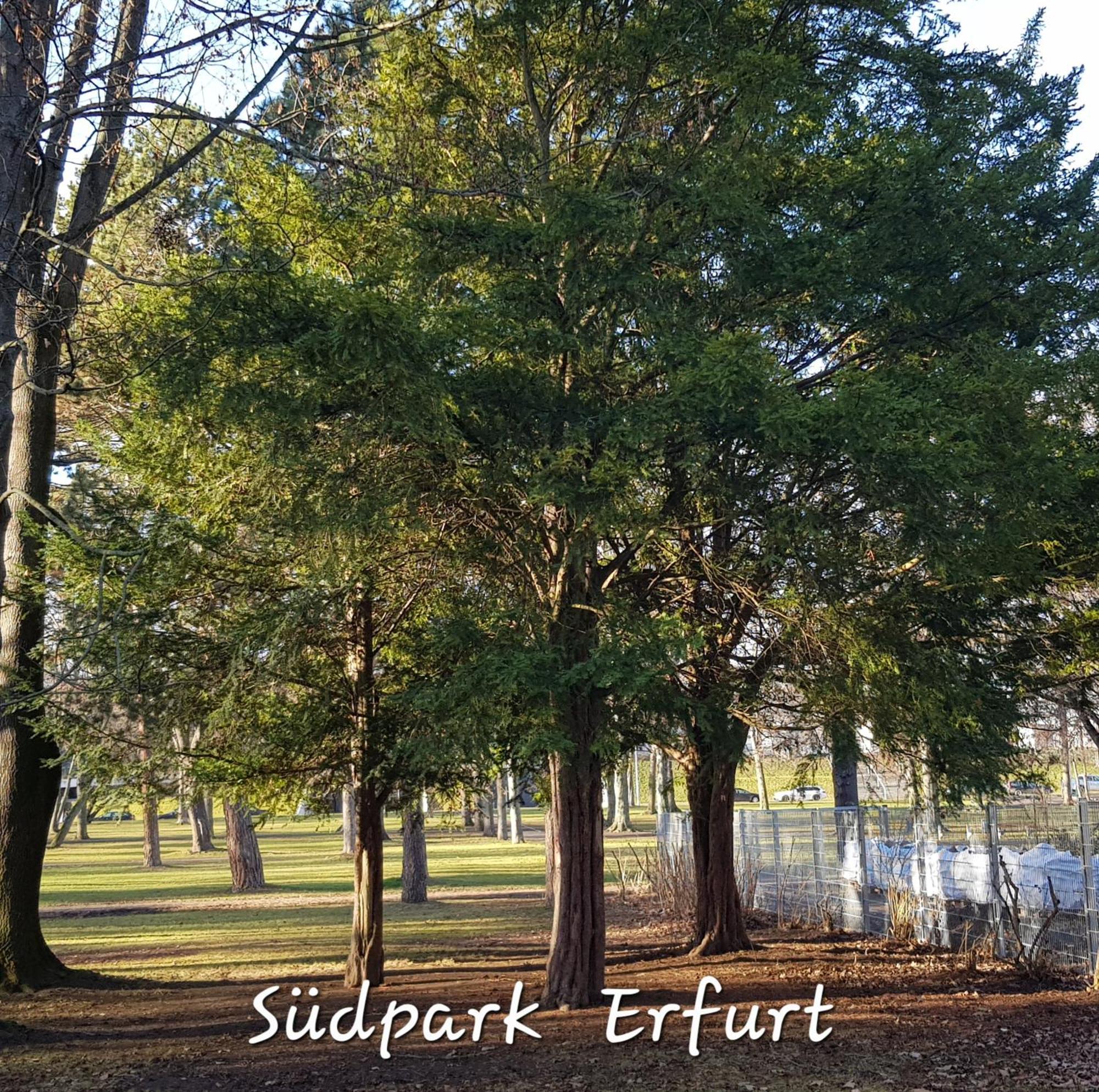 Apartment Am Suedpark Erfurt - Inkl Garten Mit Sitzlounge - Zentrumsnah 外观 照片